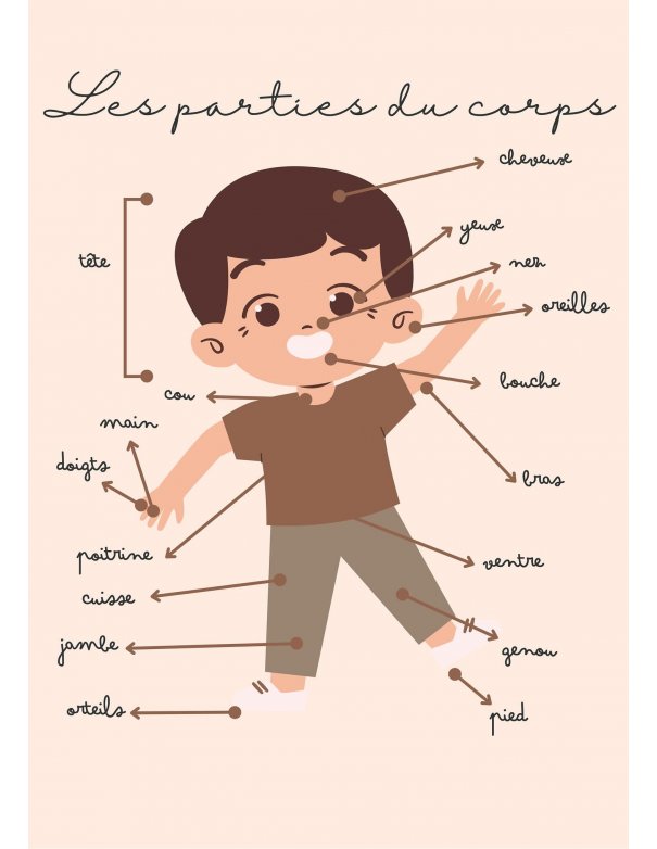 Affiche pour enfant - A4 ou A3 - Les parties du corps